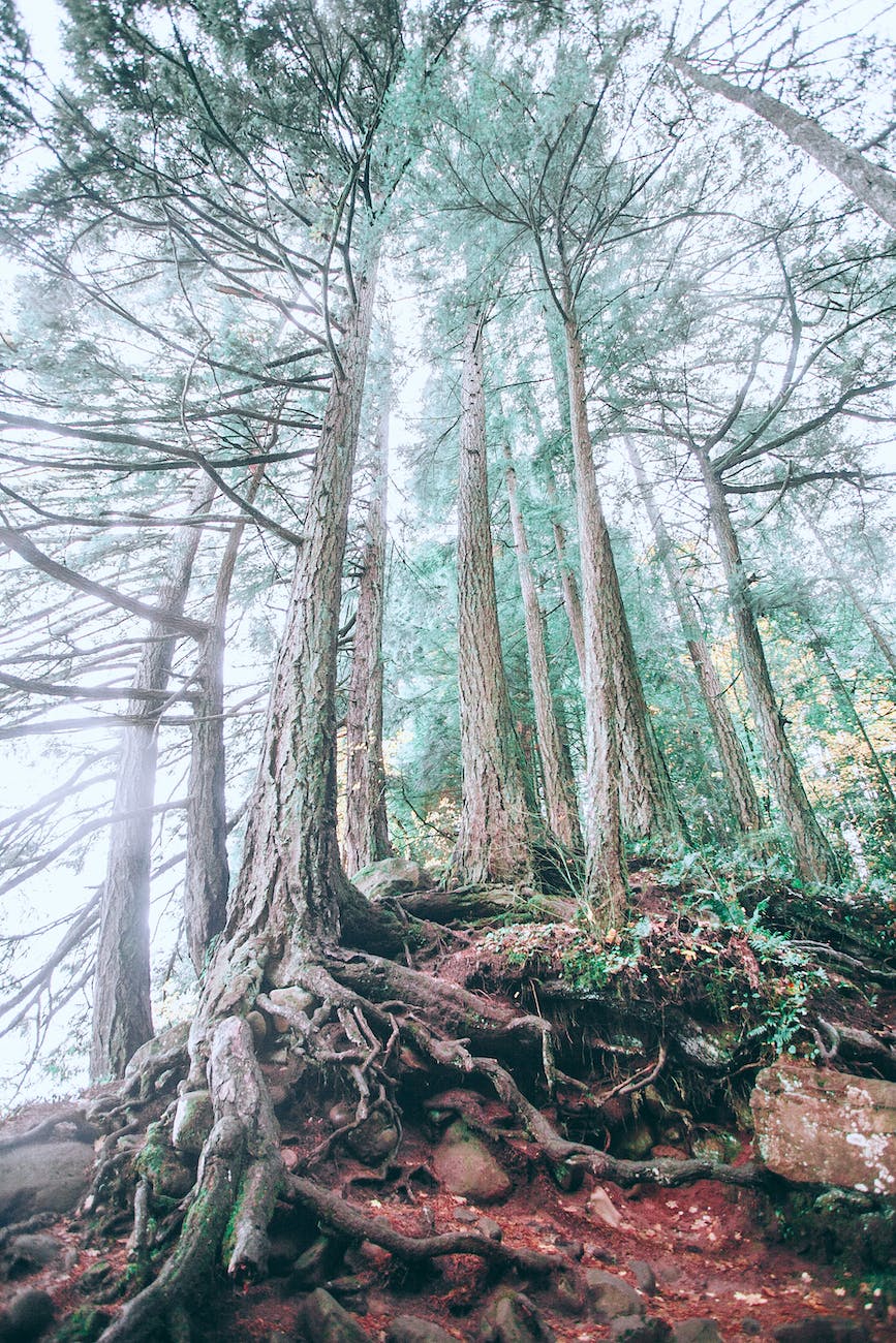 24. settling back&nbsp;down